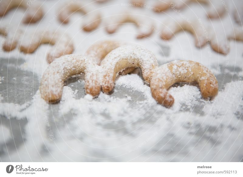 Kipferl-Drilling Lebensmittel Süßwaren Süßes "Vanillekipfel," Weihnachtsbäckerei Weihnachten & Advent Mehl Butter Staubzucker Puderzucker Nüsse Backwaren