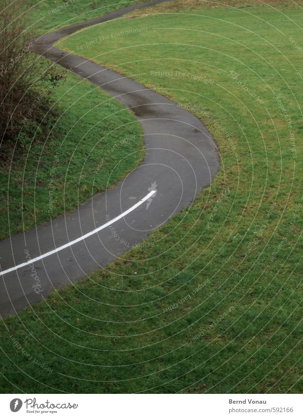 S Regen Gras Sträucher Wege & Pfade Fahrradweg grau grün schwarz weiß Schilder & Markierungen Markierungslinie Bogen Kurve Buchstaben schwungvoll aufwärts