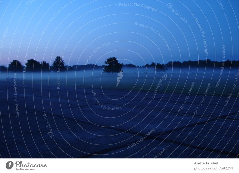 Flugplatz im bläulichen Nebel der Morgendämmerung Luftverkehr Umwelt Wolkenloser Himmel Sommer Baum Gras Wiese Wald Menschenleer Flughafen Landebahn Beton blau