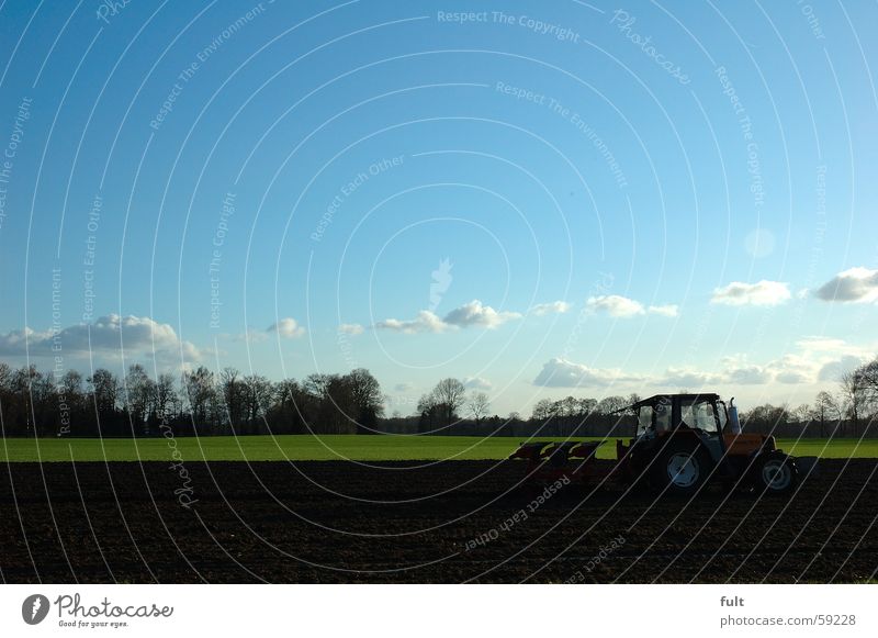 landwirtschaft Landwirtschaft pflügen Traktor Feld Horizont Baum Wolken träcker Himmel