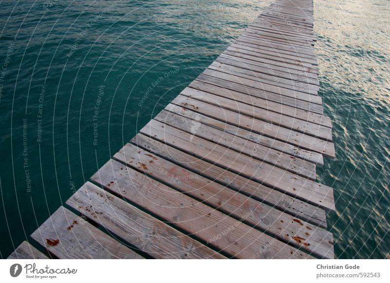 Auslaufmodell Umwelt Natur Landschaft Wasser Wassertropfen Sommer Wetter Wind Küste Strand Meer Insel Moor Sumpf Teich See Bach Fluss braun grün Steg Bootshaus