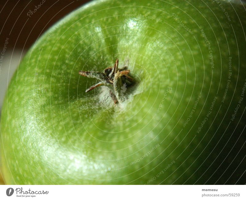 Beiß rein! Vitamin Gesundheit Apfel Frucht Granny Smith gesundgeit