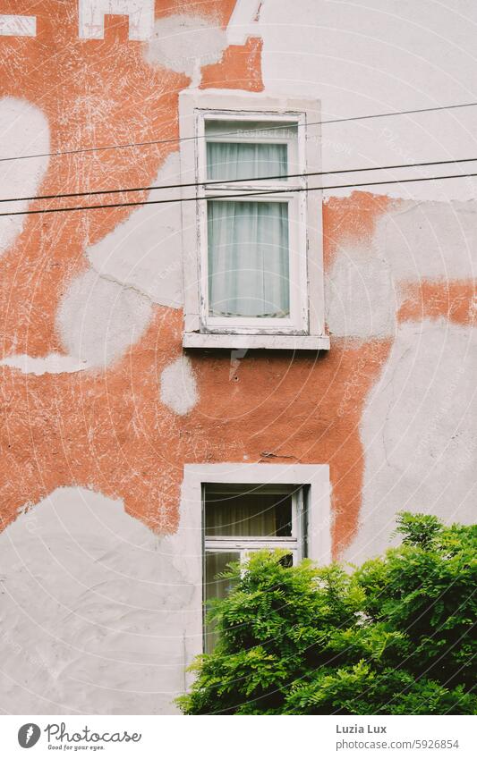 Alte Fassade orange und weiß alt leuchtend beige Fenster Leitungen grün Sommer Sommer in der Stadt Gebäude Architektur Haus Wand Bauwerk Altstadt Altbau