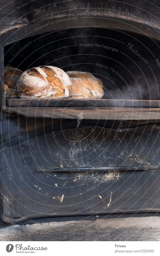 Kleine Brote backen Lebensmittel Teigwaren Backwaren Ernährung Essen Frühstück Abendessen Slowfood Stimmung Glück Geborgenheit Warmherzigkeit Herd & Backofen