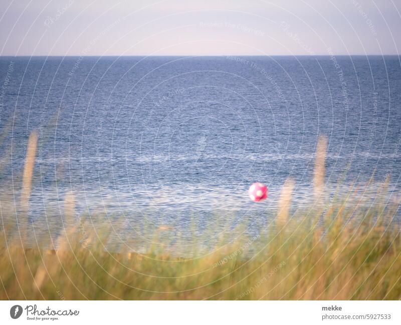 Hinter der Düne geht's ab Strand Ostsee Meer Sand Küste Sommer Erholung Ferien & Urlaub & Reisen Tourismus Sommerurlaub Wasser Wellen Sandstrand Schönes Wetter