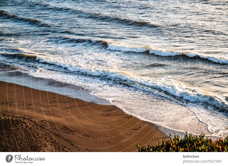 wellig Strand Wellen Wasser fantastisch Meer Küste USA Amerika Ferien & Urlaub & Reisen Ferne Freiheit Kalifornien San Francisco