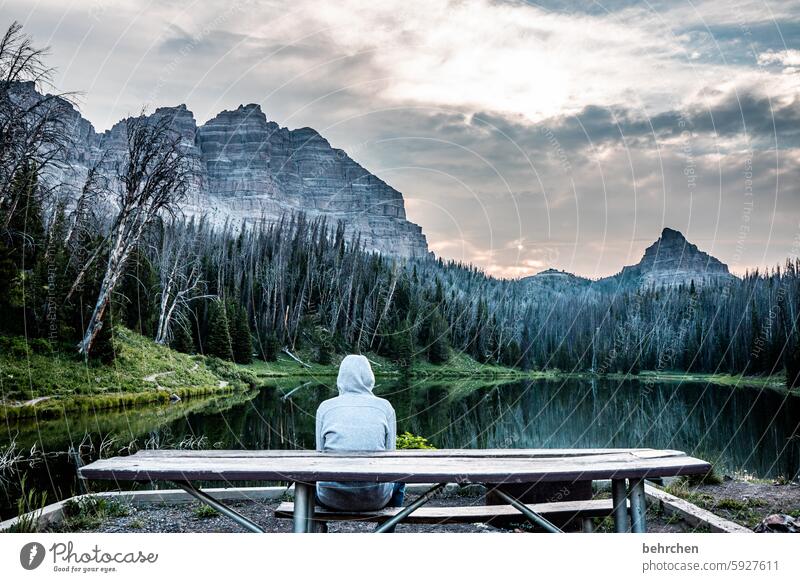 wo wir sein wollen! weite Bergsee beeindruckend Ferne Fernweh besonders Natur Ferien & Urlaub & Reisen fantastisch Wald Landschaft Berge u. Gebirge Bäume See