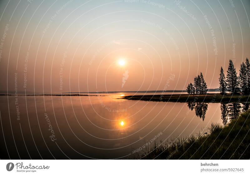 wie in einem traum Yellowstone lake stille Wyoming Wasser See Spiegelung Baum Yellowstone Nationalpark Sonnenlicht Dämmerung Sehnsucht Fernweh Glaube Hoffnung