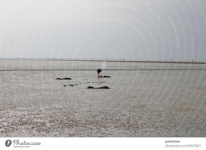 ein mensch bückt sich bei ebbe im watt. nordsee bücken expedition wattwanderung person urlaub Wattenmeer Gezeiten Nordseeküste Ferien & Urlaub & Reisen