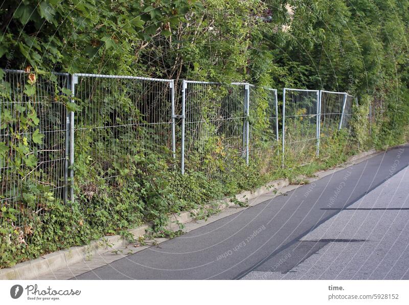 Geschichten vom Zaun .159 Straße Asphalt Grundstück Botanik Büsche überwuchert lost places Metallzaun Zaunelemente Grenze grundstück Barriere Schutz Sicherheit