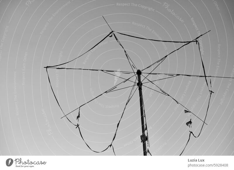 Vergänglichkeit.... Sonnenschirmgerippe nackt, vor klarem Himmel Kurios Sommer Sommerhimmel kahl Gerippe Schönes Wetter Gestell Hitze Stadt urban