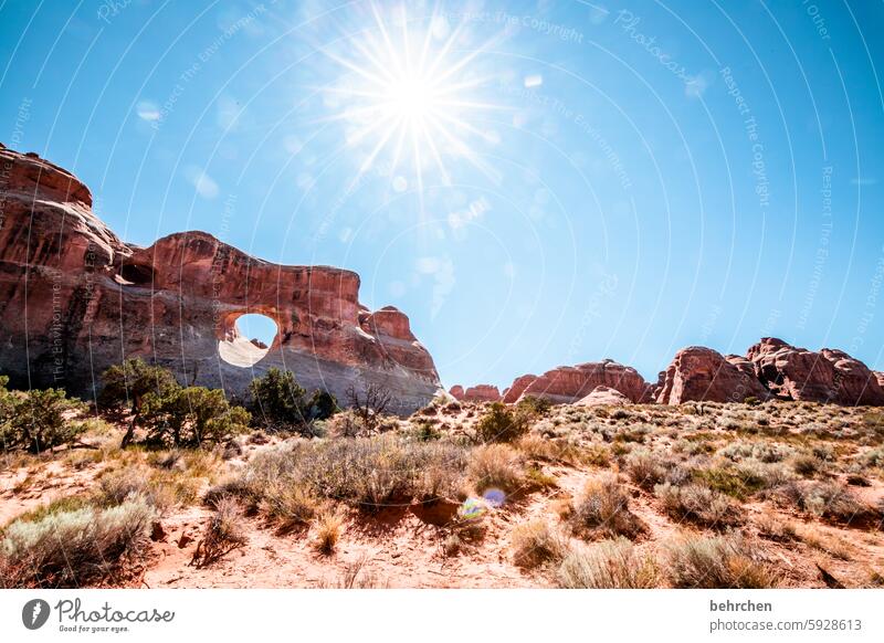 utah Sonnenstern Himmel beeindruckend Felsen Arches National Park Utah Ferne Ferien & Urlaub & Reisen Amerika USA außergewöhnlich Fernweh Abenteuer Landschaft