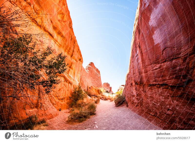 lückenhaft | den durchblick haben Schlucht Wege & Pfade Abenteuer Landschaft Natur unterwegs außergewöhnlich USA Fernweh Amerika Freiheit