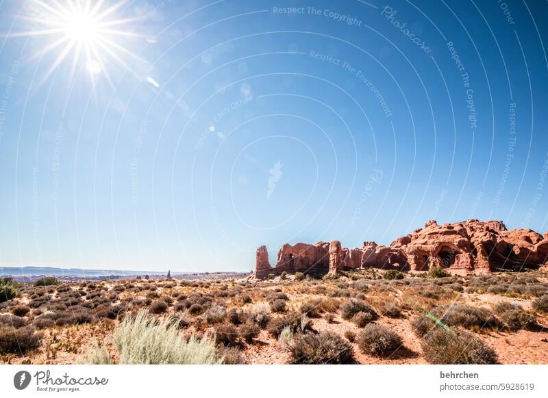 sterngeschichten Natur unterwegs Landschaft Abenteuer Fernweh außergewöhnlich USA Amerika Ferien & Urlaub & Reisen Ferne Utah Arches National Park Felsen