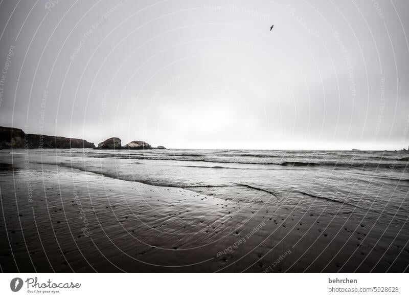 melancholie stille Wasser Strand Küste USA Wellen Meer Amerika Kalifornien Ferne Nebel Traurigkeit Abschied