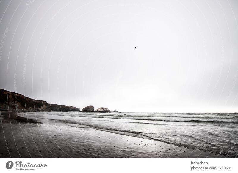 vermissen melancholie Abschied Traurigkeit Nebel Ferne Kalifornien Amerika Meer Wellen USA Küste Strand stille Wasser