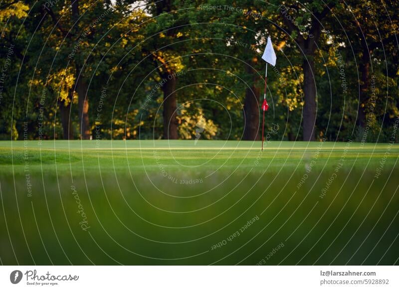 Golf-Flagge auf unberührtem Grün bei Sonnenuntergang, umgeben von üppigen Bäumen im warmen Licht des Sonnenuntergangs. Perfekt, um die Schönheit des Golfsports, der Natur und ruhiger Outdoor-Sportarten zu illustrieren.