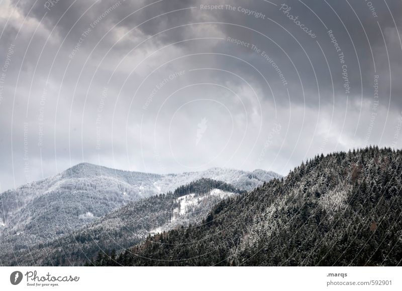 Frost Ausflug Abenteuer Winterurlaub Natur Landschaft Himmel Wolken Klima Unwetter Schnee Wald Berge u. Gebirge Schwarzwald Schneebedeckte Gipfel bedrohlich