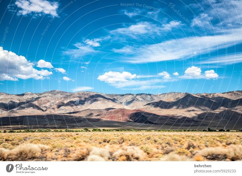 unterwegs in utah beeindruckend Wolken Himmel unterwegs sein Straßenrand Gras Berge u. Gebirge Ferne Freiheit Ferien & Urlaub & Reisen Amerika USA endlos