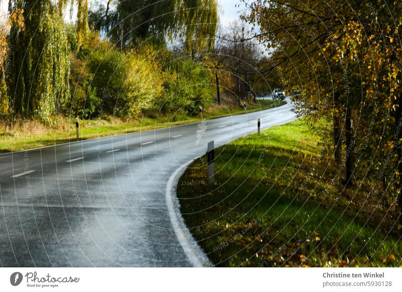 Wo geht die Reise hin? Landstrasse nach dem Regen Sonnenschein Kurve kurvig kurvige Strasse Landstraße Straße Verkehrswege Straßenverkehr