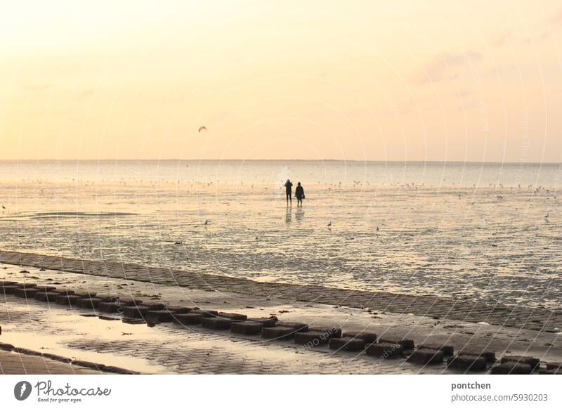 zwei personen bei sonnenuntergang im watt. abendhimmel paar wattwanderung Wattenmeer nordsee Nordseeküste Ebbe Horizont Ferien & Urlaub & Reisen Schlick möwen