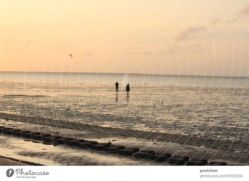 zwei personen bei sonnenuntergang im watt. abendhimmel paar wattwanderung Wattenmeer nordsee Nordseeküste Ebbe Horizont Ferien & Urlaub & Reisen Schlick möwen