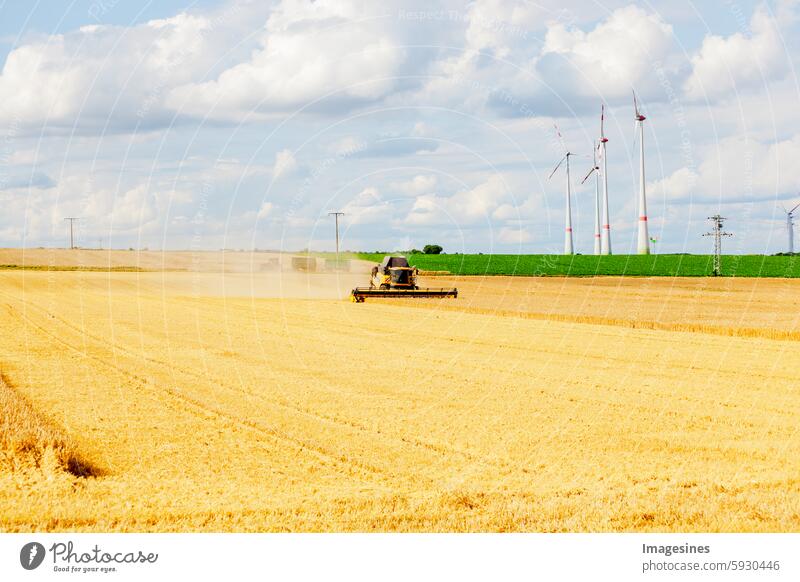 Getreideernte im Sommer. Mähdrescher im Einsatz auf einem Weizenfeld Ernte reif Landwirtschaft Maschine getreideernte Feld Maschinen Gerste Getreidepflanze Mais