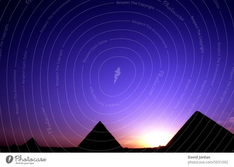 drei Pyramiden vor violettem Sonnenuntergang Ägypten Wahrzeichen Kairo Gizeh Landschaft Afrika Himmel Archäologie Sand historisch Tourismus