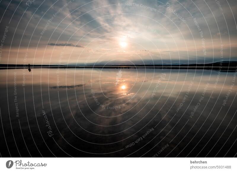 wenn himmel und wasser eins sind Yellowstone lake stille Wyoming Wasser See Spiegelung Yellowstone Nationalpark Sonnenlicht Dämmerung Sehnsucht Fernweh Glaube