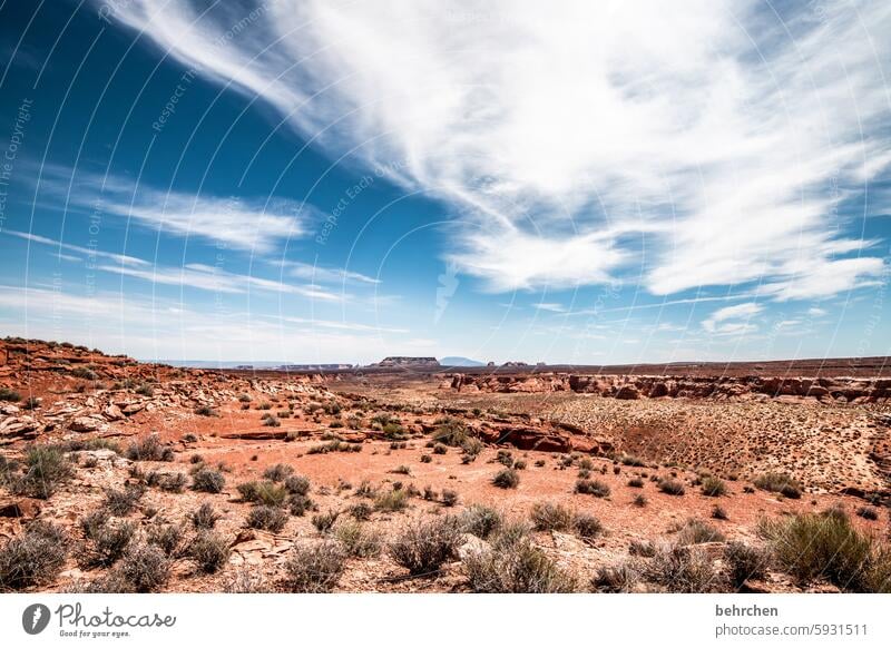 wolkengeschichten beeindruckend Wolken Himmel unterwegs sein Straßenrand Gras Berge u. Gebirge Ferne Freiheit Ferien & Urlaub & Reisen Amerika USA