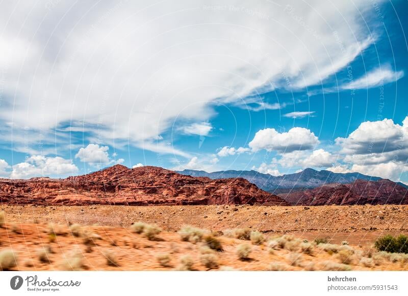 unterwegs Arizona Utah Landschaft Abenteuer Wege & Pfade Endlosigkeit Fernweh endlos außergewöhnlich USA Amerika Ferien & Urlaub & Reisen Freiheit Ferne