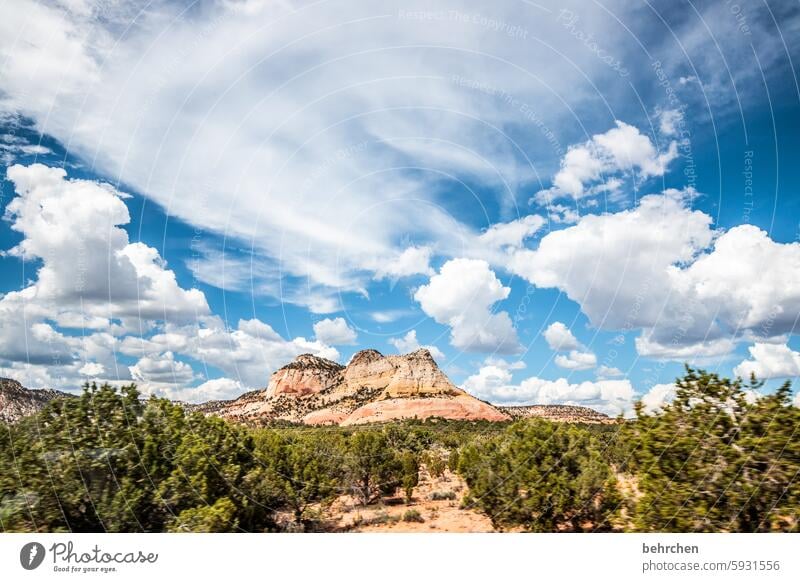 unterwegs Wolken Himmel unterwegs sein Straßenrand Gras Berge u. Gebirge Ferne Freiheit Ferien & Urlaub & Reisen Amerika USA außergewöhnlich Fernweh endlos