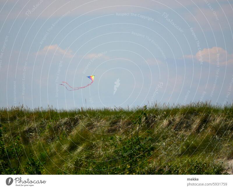 Fliegender Regenbogen Drachen Küste Strand Ostsee Kindheit drachensteigen Wind Himmel fliegen Dühne Spielzeug Deich Sommerurlaub regenbogenfarben