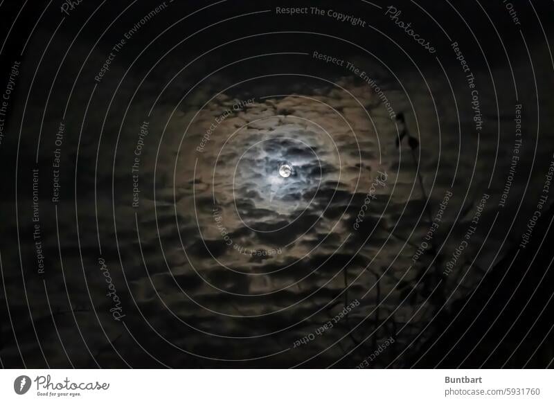 Wenn der Mond die Wolken berührt Nacht Vollmond Mondschein Nachthimmel Himmel dunkel Natur Stimmung Licht Silhouette Mondaufgang ruhig geheimnisvoll leuchten