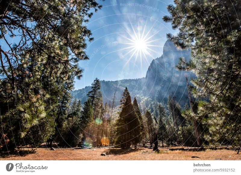 yosemite Natur Ferien & Urlaub & Reisen Felsen Himmel Hoffnung Licht Sonnenstern Sonnenlicht Berge u. Gebirge Landschaft reisen Yosemite NP Kalifornien Amerika