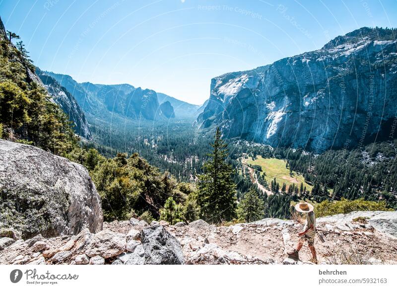 wandern Wald Gipfel Natur Ferien & Urlaub & Reisen Felsen Himmel Berge u. Gebirge Landschaft reisen yosemite Yosemite NP Kalifornien USA Bäume Fernweh Amerika