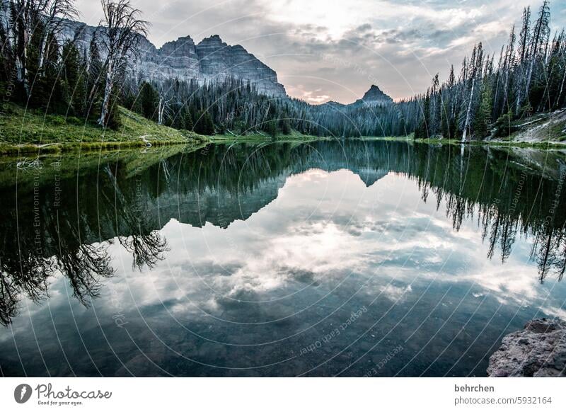 still sein Reflexion & Spiegelung weite Bergsee beeindruckend Ferne Fernweh besonders Natur Ferien & Urlaub & Reisen fantastisch Wald Landschaft