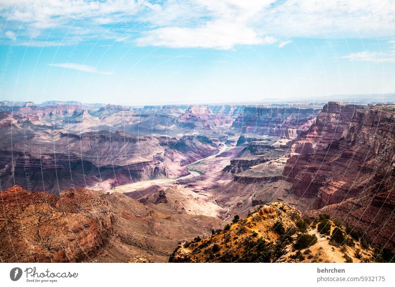 lieblingsorte Aussicht Felsen Colorado River Fluss überwältigend überwältigt Natur Grand Canyon Ferne Ferien & Urlaub & Reisen Himmel fantastisch Freiheit USA