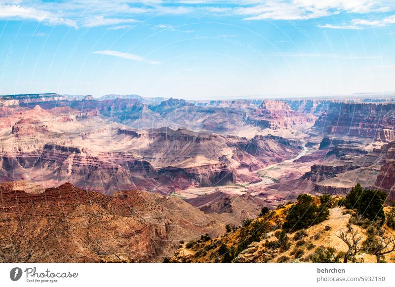 endlos Landschaft Schlucht Endlosigkeit Fernweh unterwegs Arizona außergewöhnlich Amerika USA Freiheit fantastisch Himmel Ferien & Urlaub & Reisen Ferne