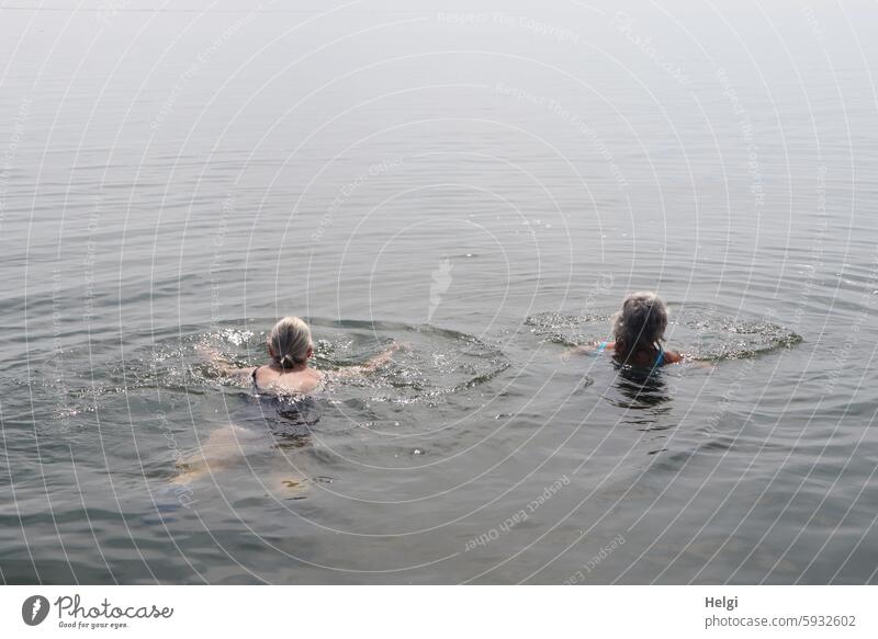 Hallig Gröde | zwei Seniorinnen schwimmen in der Nordsee Mensch Frau Erwachsene Meer Wasser Sommer Natur draußen Hochwasser Flut Außenaufnahme Umwelt