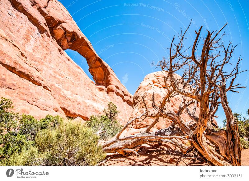 utah Himmel beeindruckend Felsen Arches National Park Utah Ferne Ferien & Urlaub & Reisen Amerika USA außergewöhnlich Fernweh Abenteuer Landschaft