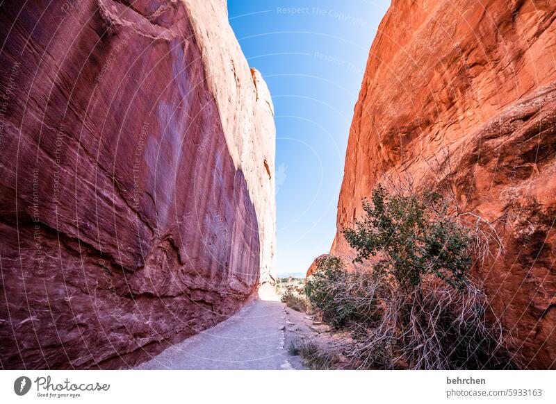 es gibt immer einen weg Steinwand beeindruckend Himmel Felsen Arches National Park Utah Ferne Ferien & Urlaub & Reisen Freiheit Amerika USA außergewöhnlich