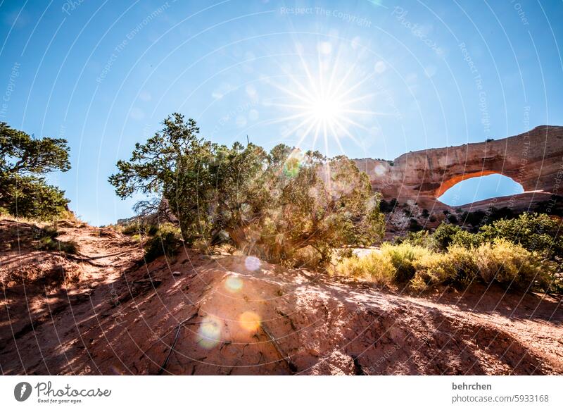 lückenhaft | naturwunder beeindruckend Himmel Sonnenstern Sonnenlicht Felsen Arches National Park Utah Ferne Ferien & Urlaub & Reisen Freiheit Amerika