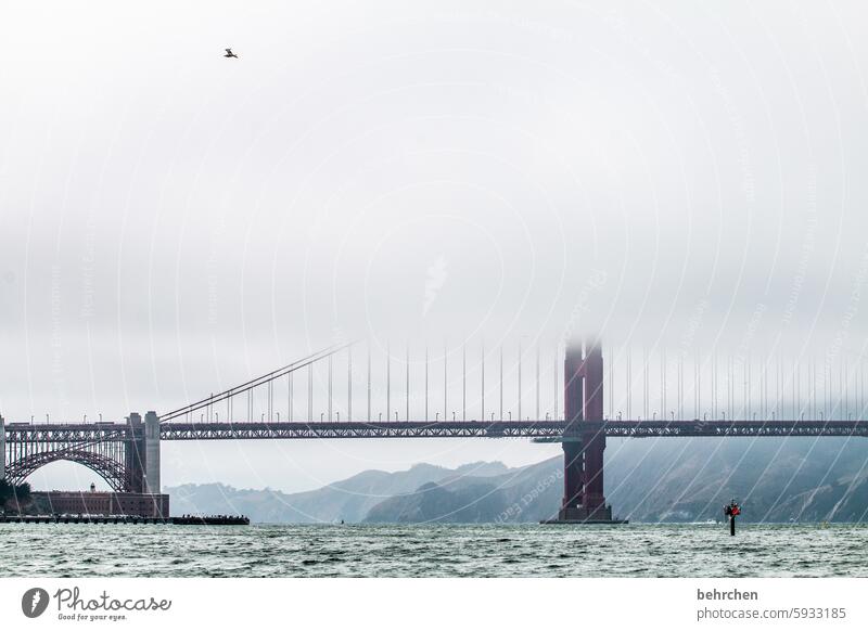 brückentag Amerika Vögel Ferne Wolken Ferien & Urlaub & Reisen Himmel San Francisco USA fantastisch außergewöhnlich Nebel Golden Gate Bridge Wahrzeichen Brücke