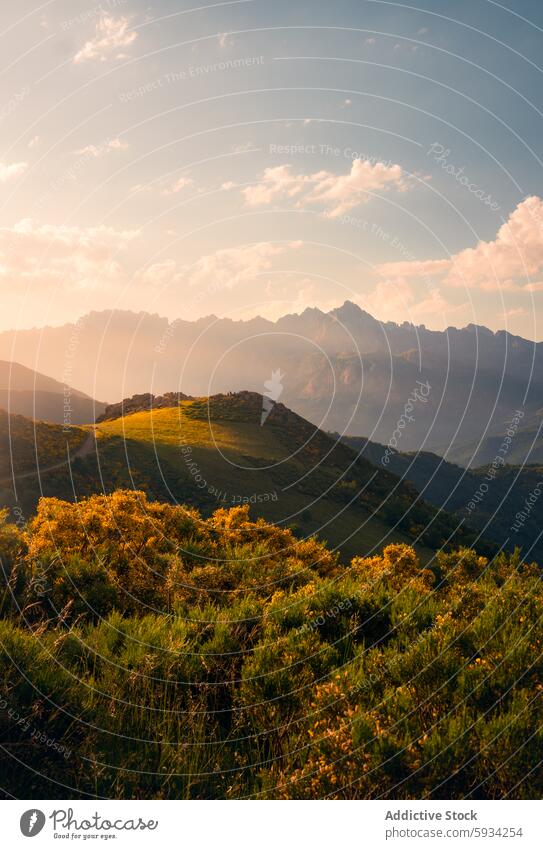 Sonnenuntergang über den Bergen der Picos de Europa, Kantabrien Picoos de europa Natur Landschaft Hügel Gelände goldenes Licht Gelassenheit malerisch Durchblick