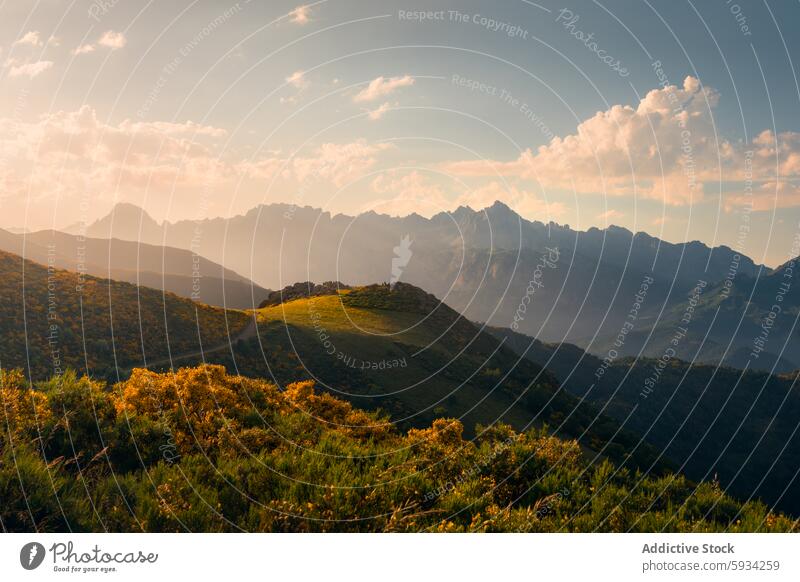 Goldene Stunde in der Bergkette Picos de Europa Picoos de europa Kantabrien Berge u. Gebirge Ambitus Tal Sonnenaufgang goldene Stunde Sommer Natur Landschaft