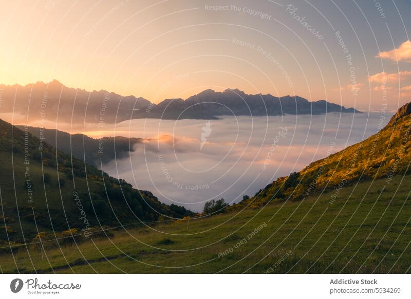 Sonnenaufgang über den Picos de Europa mit Wolken, die die Täler verschlingen Berge u. Gebirge Cloud Tal Picoos de europa Kantabrien Natur Landschaft im Freien