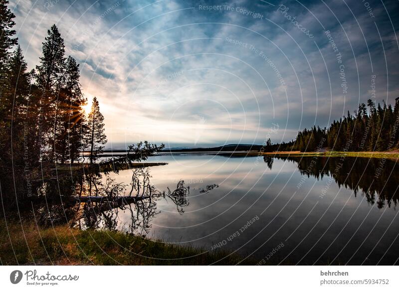 wenn die nacht langsam einschläft Yellowstone lake stille Wyoming Wasser See Spiegelung Baum Yellowstone Nationalpark Sonnenaufgang Sonnenlicht Dämmerung