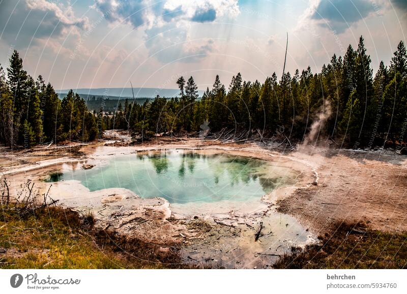 hot tub vulkanische Landschaft Vulkan Wolken Himmel Geysir USA Wyoming Yellowstone Nationalpark Amerika Ferien & Urlaub & Reisen Ferne fantastisch