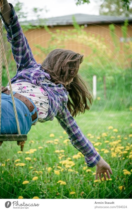 Mädchen auf Schaukel beugt sich zurück und greift nach Blumen Lifestyle Spielen Sommer Mensch feminin Jugendliche 1 13-18 Jahre Kind Natur Frühling Garten Wiese